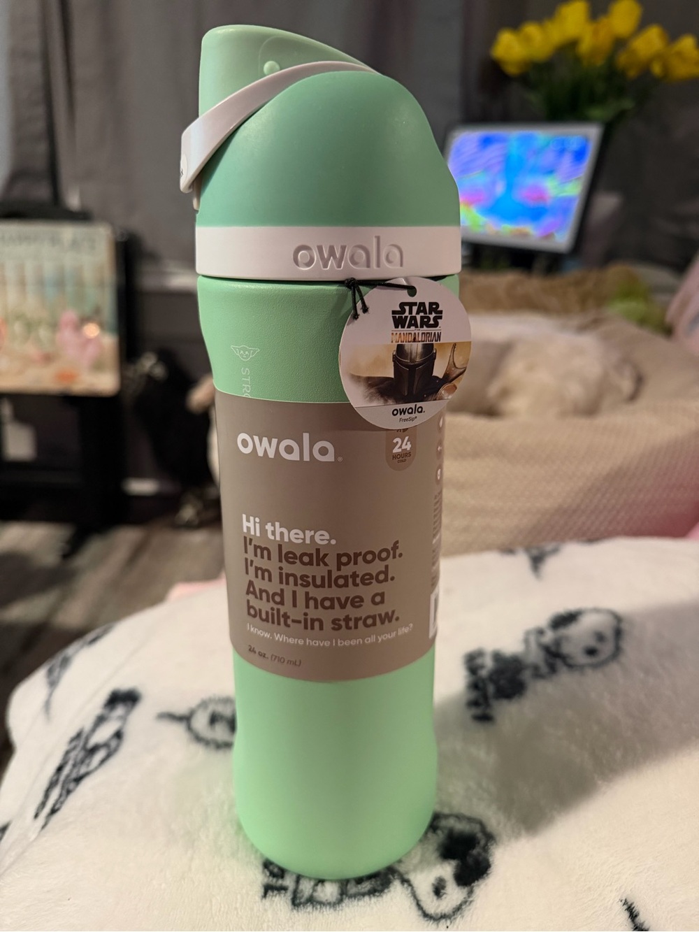 Starwars Owala Green Insulated Water Bottle with Built-In Straw